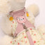 Cute Bear Design Pet Harness