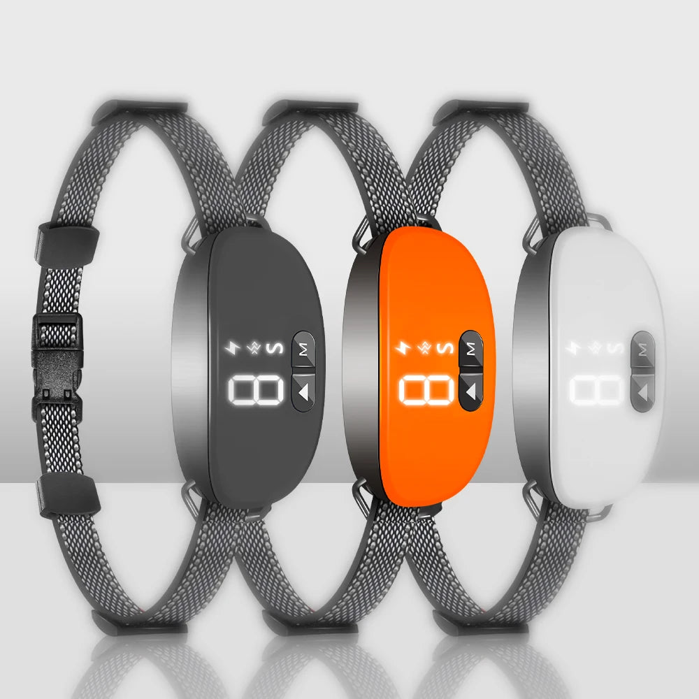 Adjustable Dog Collar