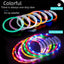 طوق ضوء LED للكلاب