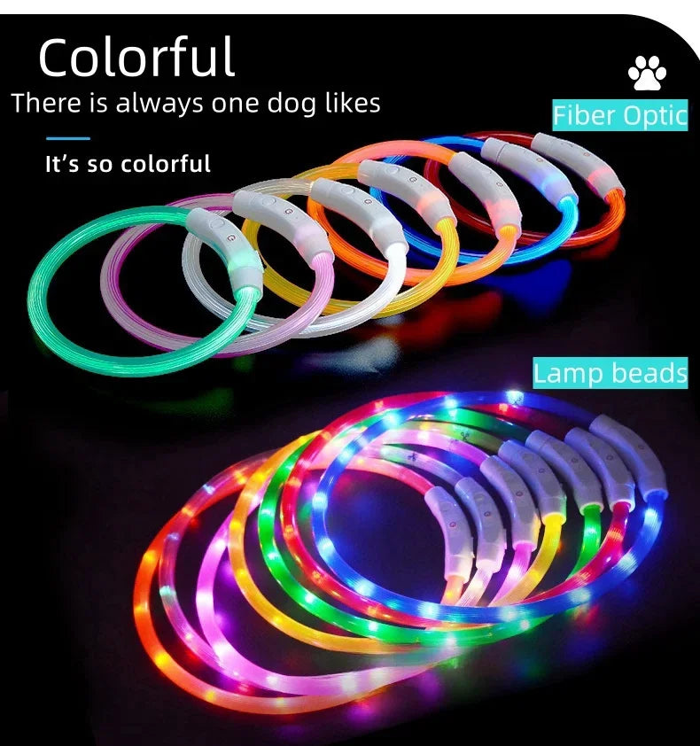 طوق ضوء LED للكلاب