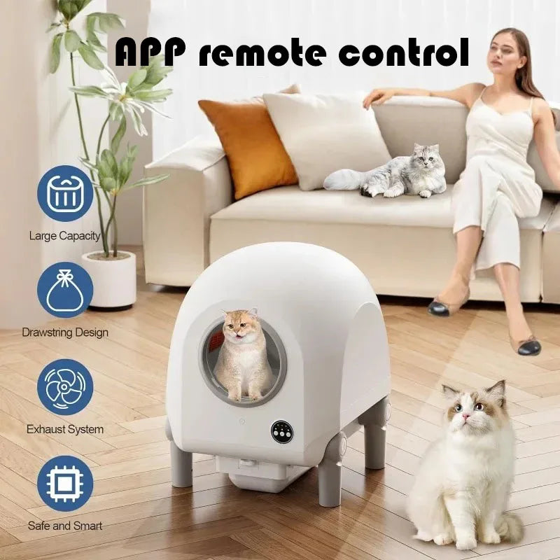 Litter Box, Upgraded