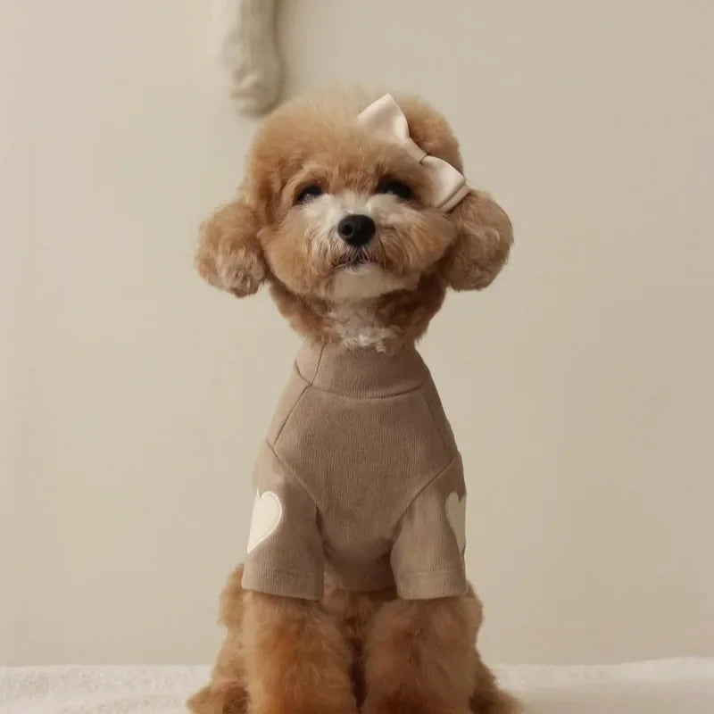 Warm Paw Cozy Outfit