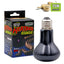 Pet Heating Night Lamp