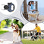 Shine Stride Leash