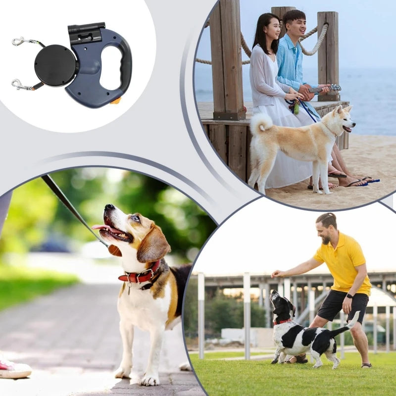 Shine Stride Leash