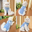 Cats Surgery Recovery Suit