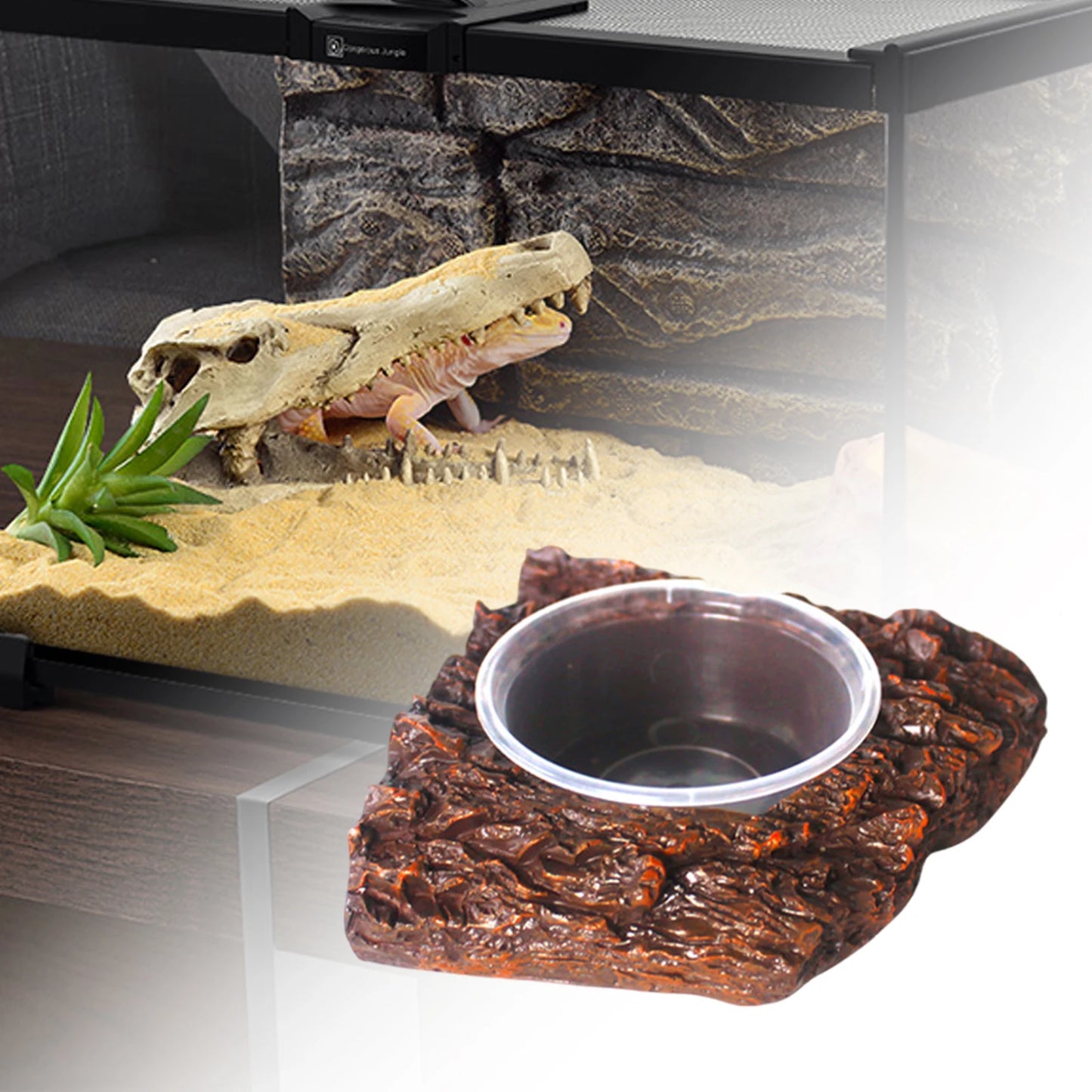 Frog & Lizard Feeder Dish