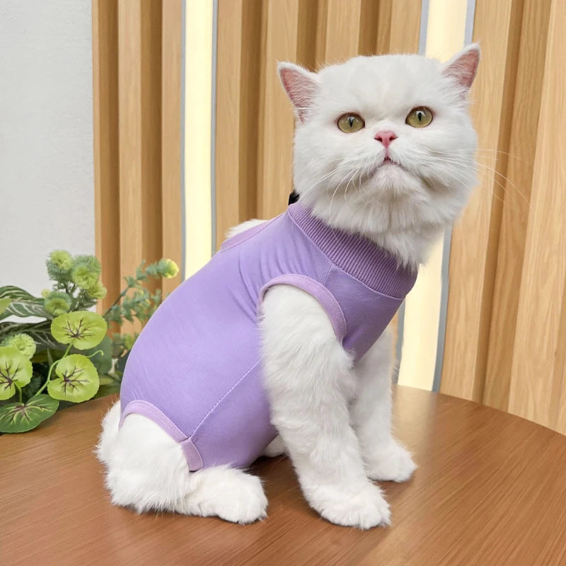 Cats Surgery Recovery Suit