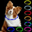 Luminous LED Dog Collar