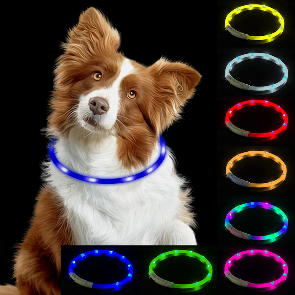 Luminous LED Dog Collar
