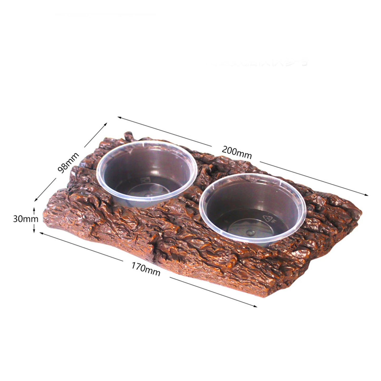 Frog & Lizard Feeder Dish