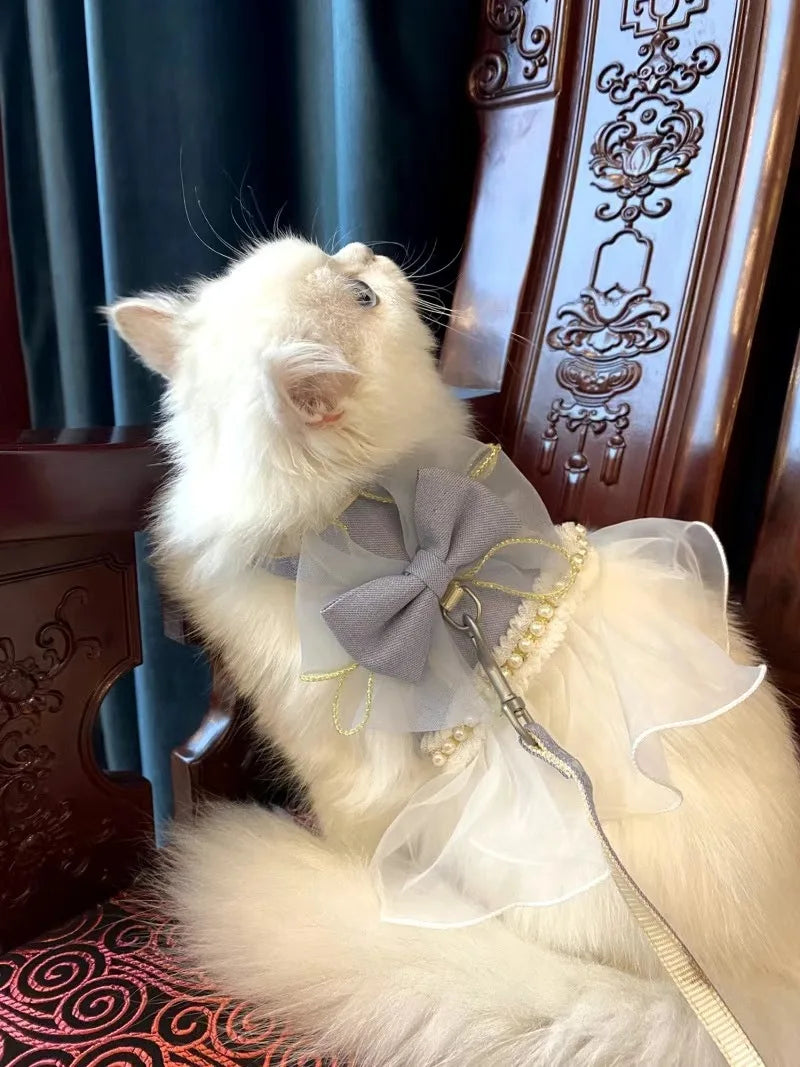 Cute Bowknot Cat Harness