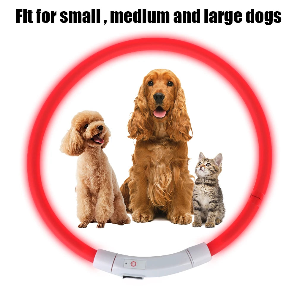 Luminous LED Dog Collar