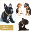 Luxury Gold Dog Chain Collar