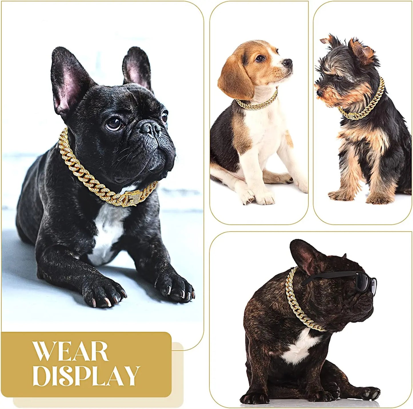 Luxury Gold Dog Chain Collar