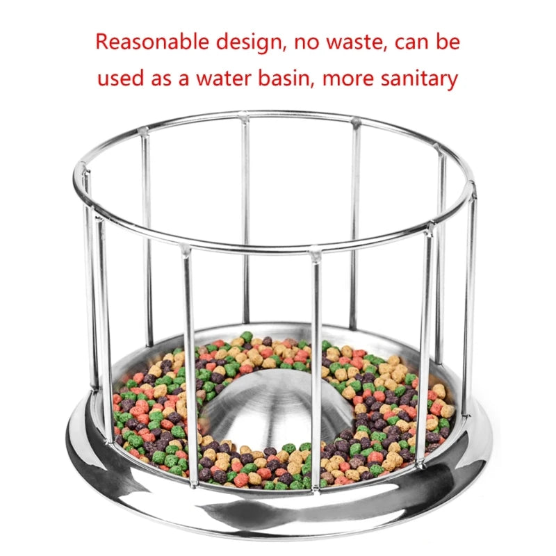 Tortoise Stainless Steel Feeder