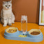 Tilted Pet Feeder Bowl