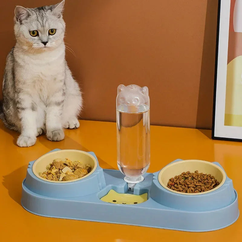 Tilted Pet Feeder Bowl