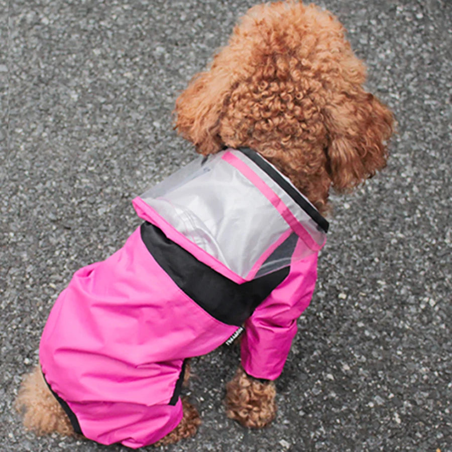 RainGuard Dog Coat