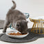 Pet Ceramic Bowl with Rack