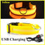 USB Rechargeable LED Collar