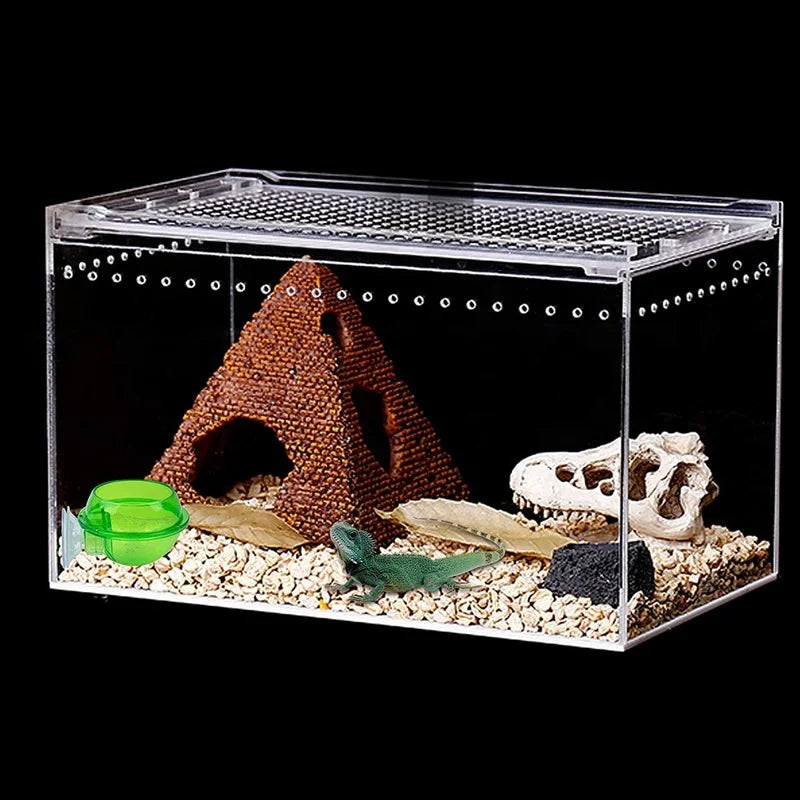 Green Reptile Feeding Bowl