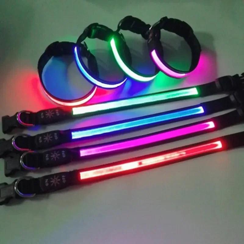 Glowing Dog Collar LED
