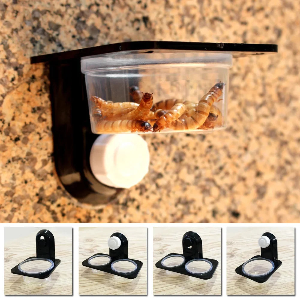 Terra Bite Feeding Bowl