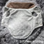 ChicPaw Quilted Pet Jacket