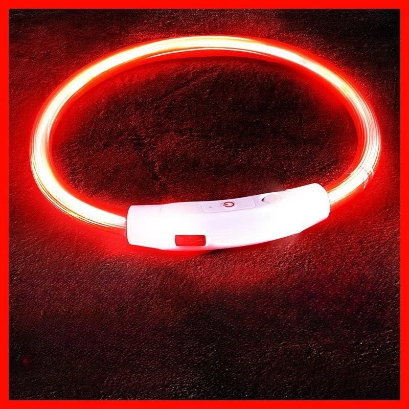 طوق ضوء LED للكلاب