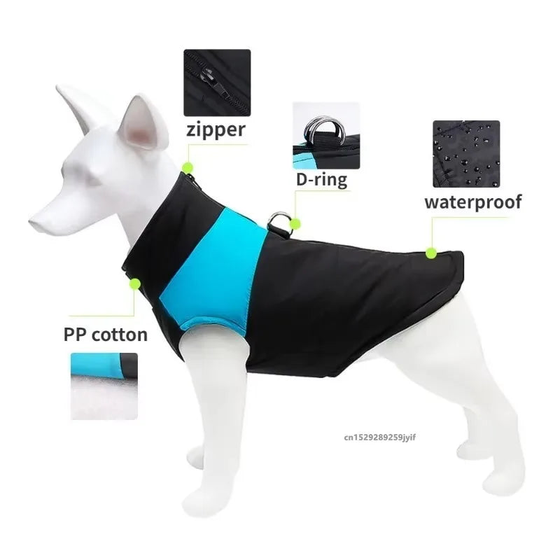 Padded Zipper Jacket