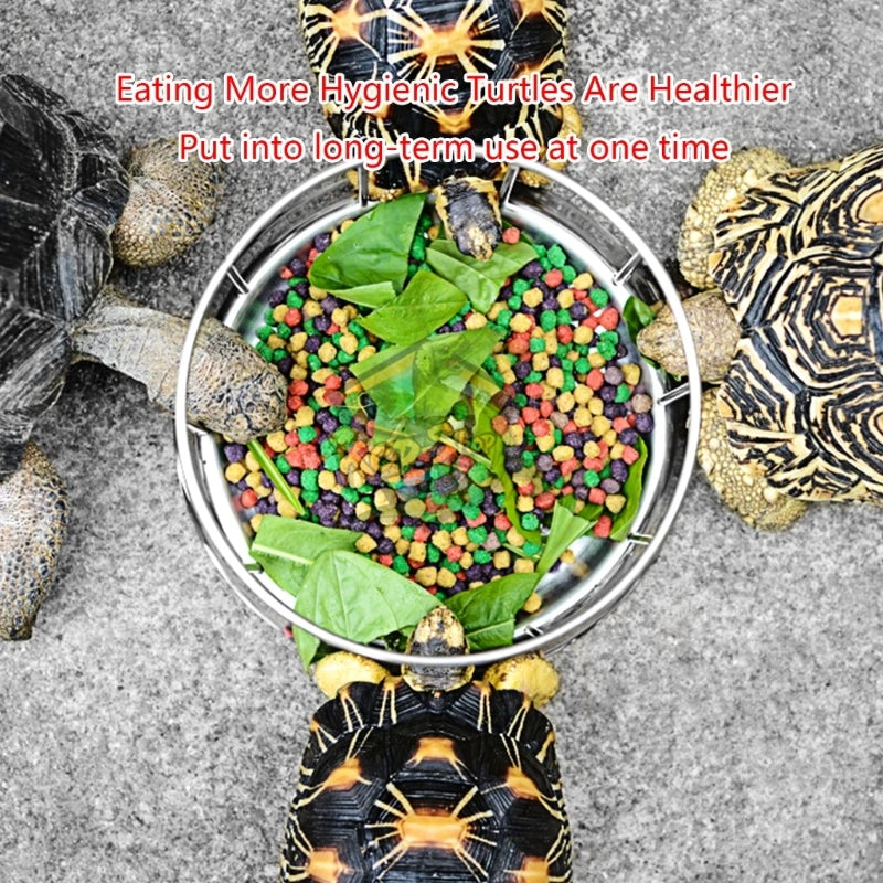 Tortoise Stainless Steel Feeder