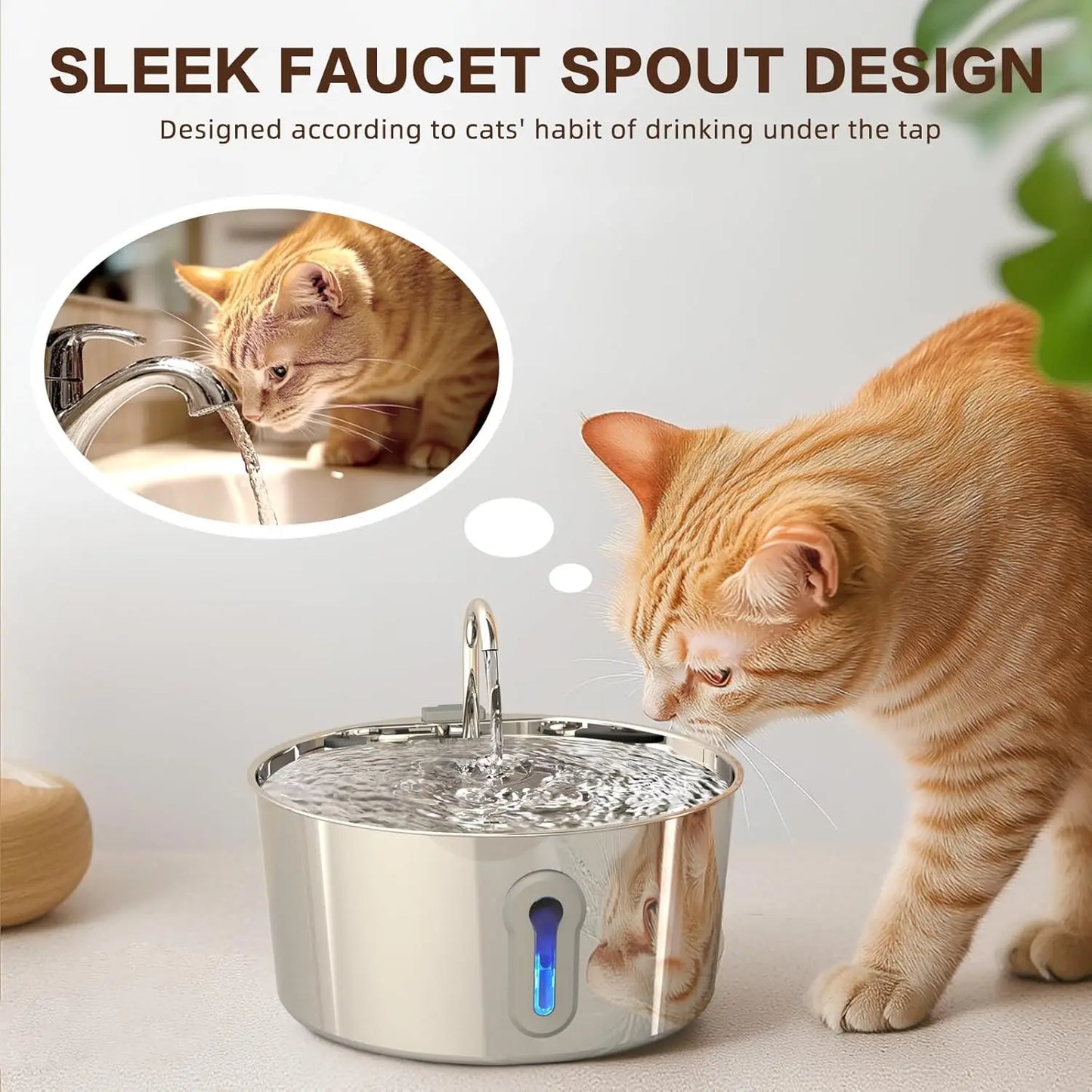 Premium Cat Water