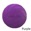 Durable Silicone Flying Dog Disc
