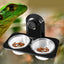 Terra Bite Feeding Bowl