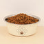 Stainless Steel Pet Bowl