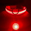 Glow Buddy Collar