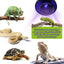 Pet Heating Night Lamp