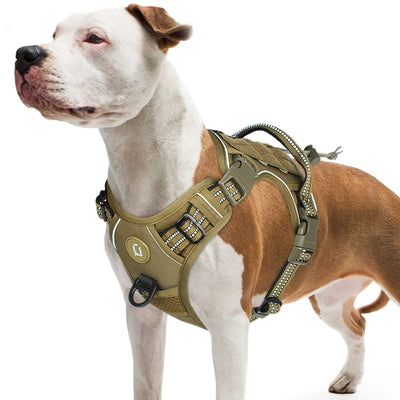 Rover Tact Adjustable Harness