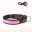 Glowing Dog Collar LED