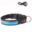Glowing Dog Collar LED