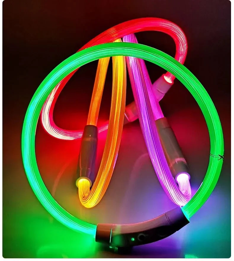طوق ضوء LED للكلاب