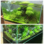 Black Aquarium Sand Decor