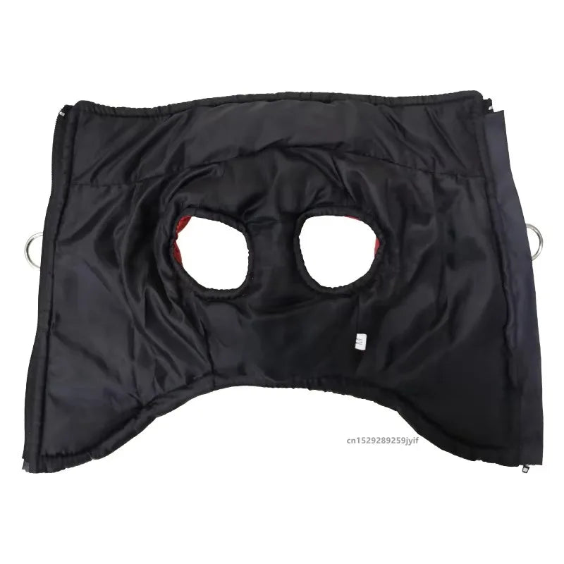 Padded Zipper Jacket