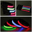 Glowing Dog Collar LED