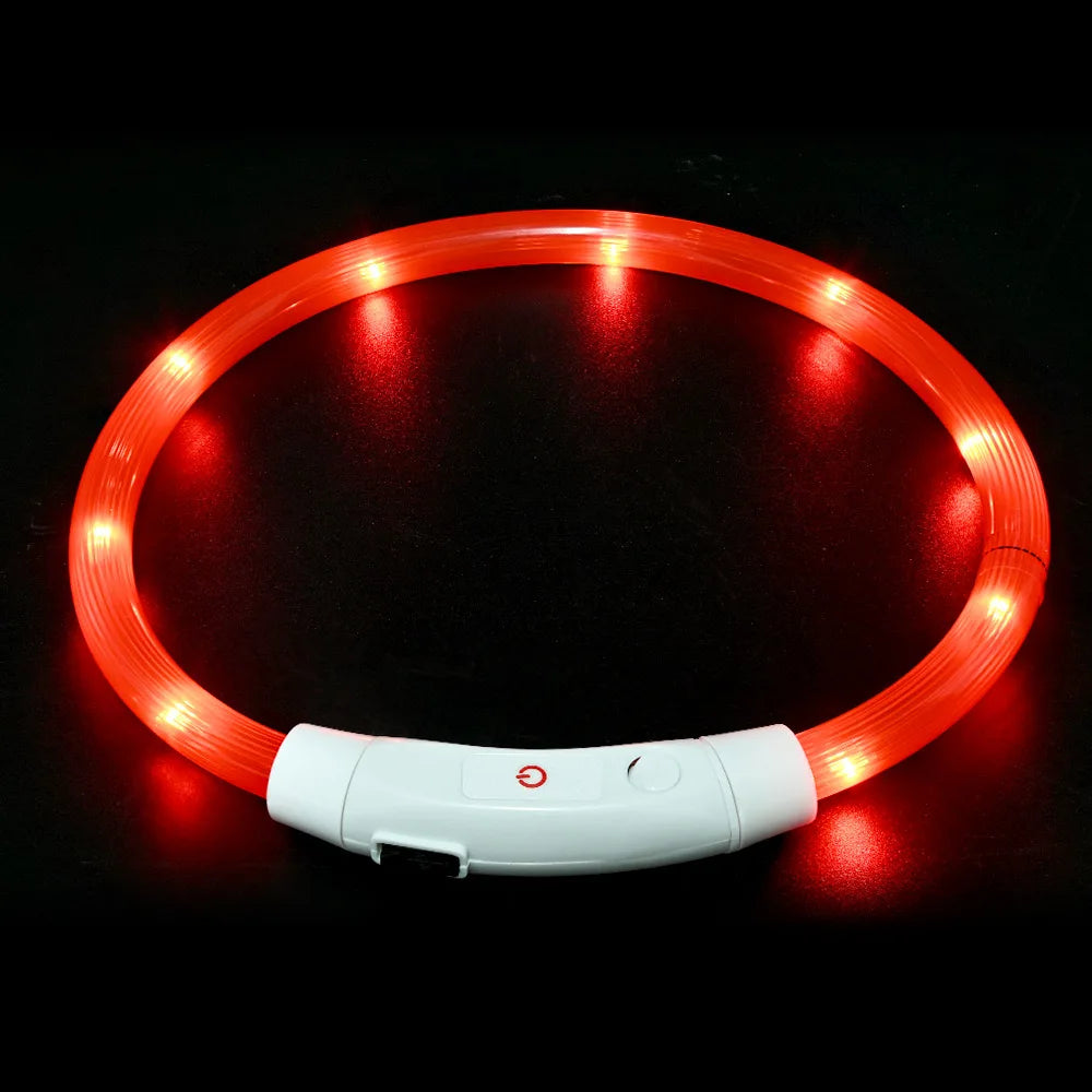 طوق ضوء LED للكلاب