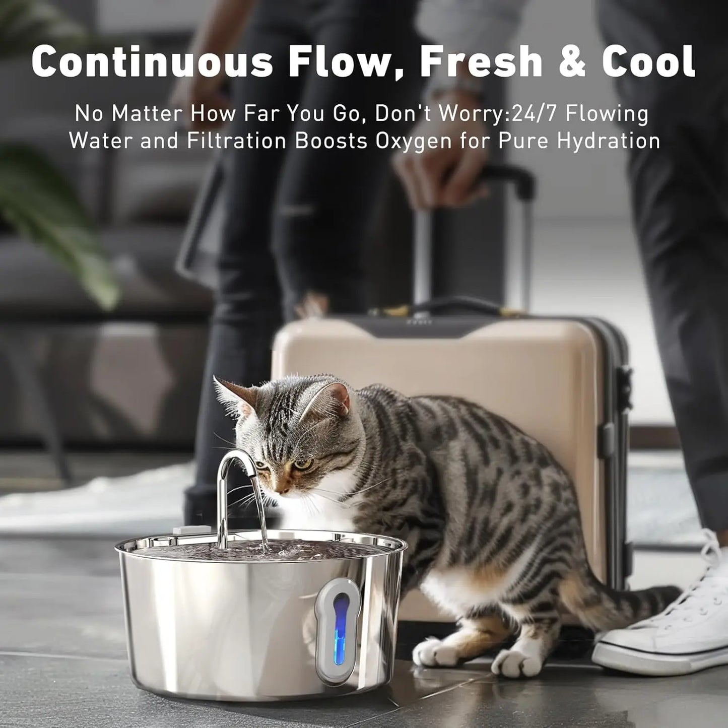 Premium Cat Water