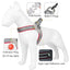 Reflective Nylon Dog Harness