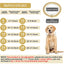 Luxury Gold Dog Chain Collar