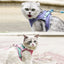 Cat Comfortable Vest Harness